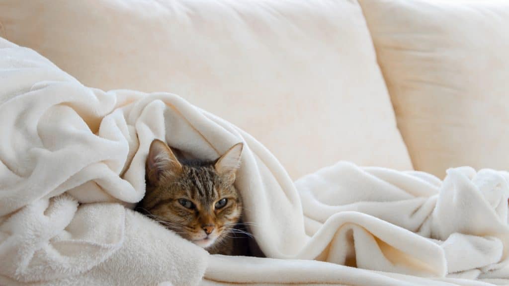 How to wash comforter in small washing machine?